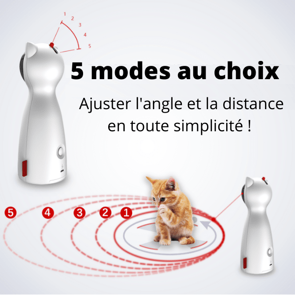 pointeur laser chat automatique